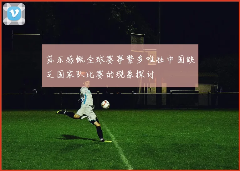 苏东感慨全球赛事繁多唯独中国缺乏国家队比赛的现象探讨