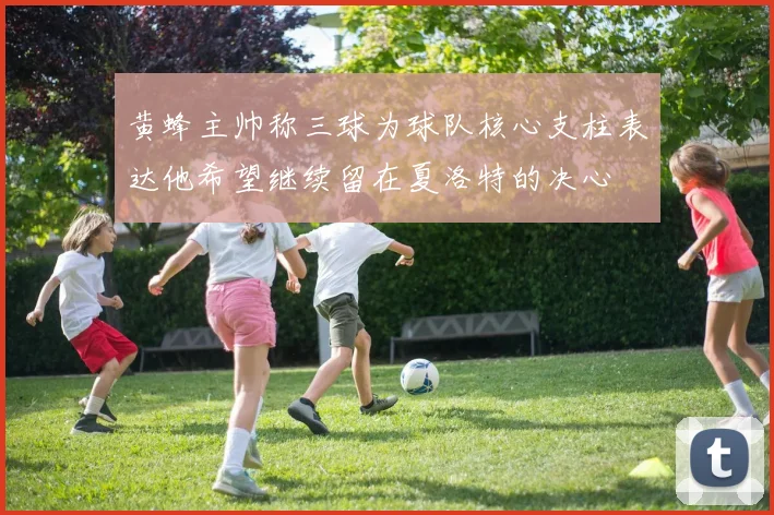 黄蜂主帅称三球为球队核心支柱表达他希望继续留在夏洛特的决心