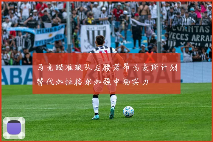 马竞瞄准狼队后腰若昂戈麦斯计划替代加拉格尔加强中场实力