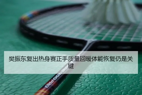 樊振东复出热身赛正手质量回暖体能恢复仍是关键 - LDSPORTS